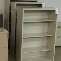 Metal Bookcases (1)